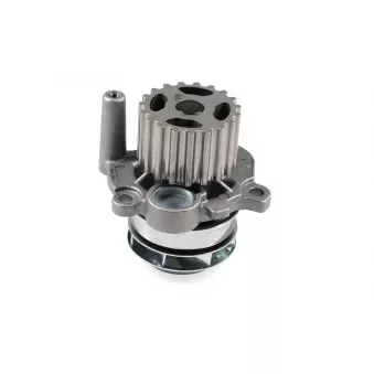 Pompe à eau HEPU P550
