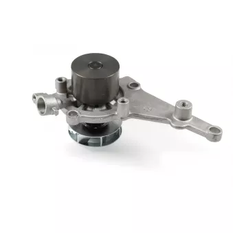 Pompe à eau HEPU P5502M