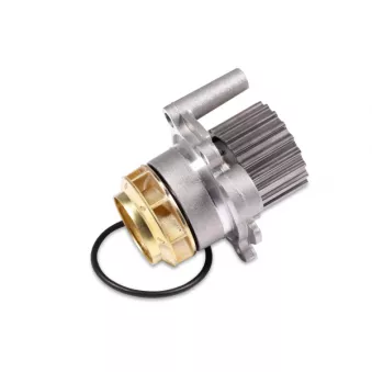 Pompe à eau HEPU P563