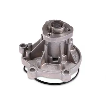Pompe à eau HEPU P566