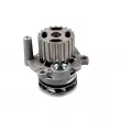 Pompe à eau HEPU P569 - Visuel 1