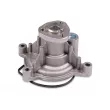 Pompe à eau HEPU P570 - Visuel 1