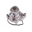 Pompe à eau HEPU P581 - Visuel 1