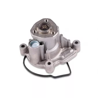 Pompe à eau HEPU P581