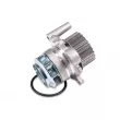 Pompe à eau HEPU P587 - Visuel 1