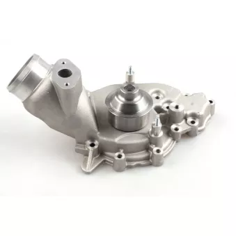 Pompe à eau HEPU P590