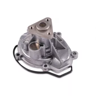 Pompe à eau HEPU P595