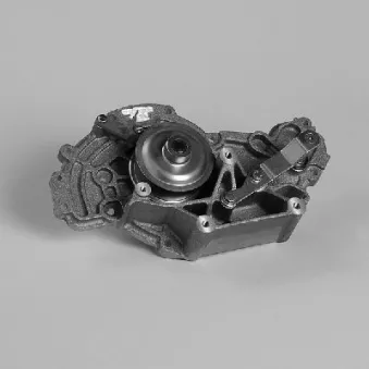 Pompe à eau HEPU P597