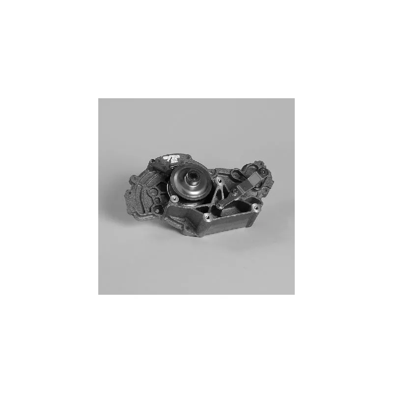 Pompe à eau HEPU P597