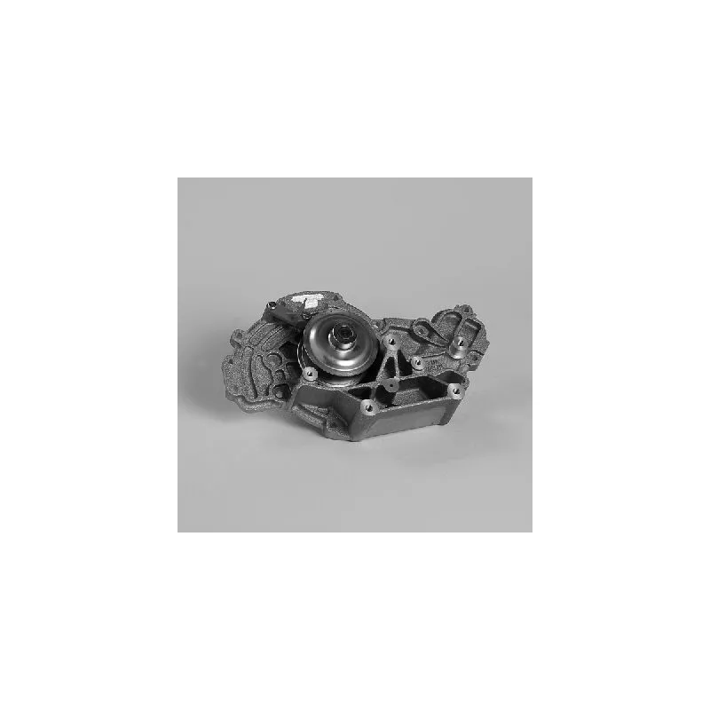 Pompe à eau HEPU P598