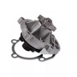Pompe à eau HEPU P602 - Visuel 1