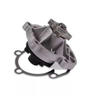 Pompe à eau HEPU P602