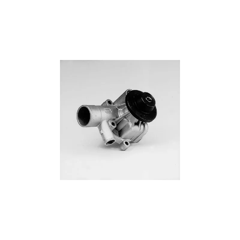 Pompe à eau HEPU P603