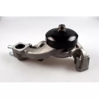 Pompe à eau HEPU P609