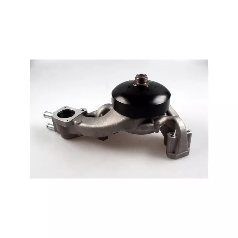 Pompe à eau HEPU P609