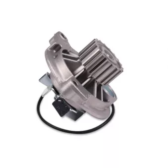 Pompe à eau HEPU P616