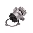 Pompe à eau HEPU P622 - Visuel 1