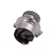 Pompe à eau HEPU P622 - Visuel 2