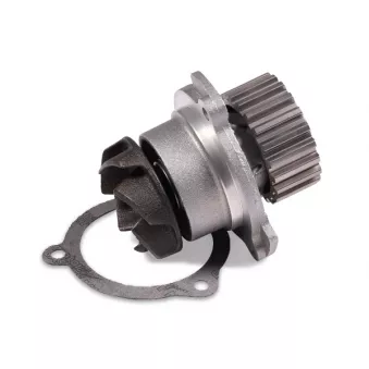 Pompe à eau HEPU P624