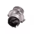 Pompe à eau HEPU P624 - Visuel 2