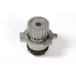 Pompe à eau HEPU P625 - Visuel 1