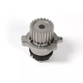 Pompe à eau HEPU P625