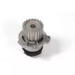 Pompe à eau HEPU P625 - Visuel 2