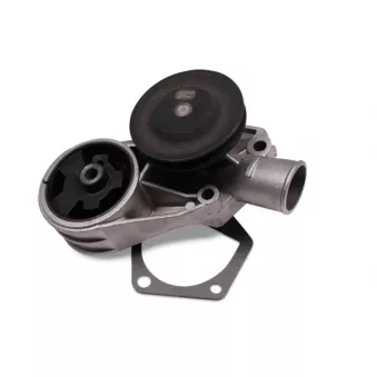 Pompe à eau HEPU P641