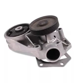 Pompe à eau HEPU P643