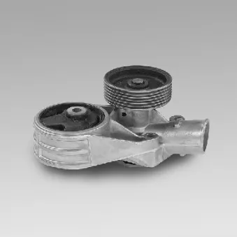 Pompe à eau HEPU