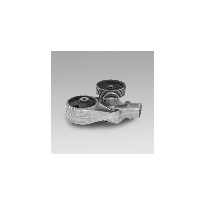 Pompe à eau HEPU P645
