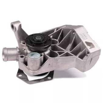 Pompe à eau HEPU P647
