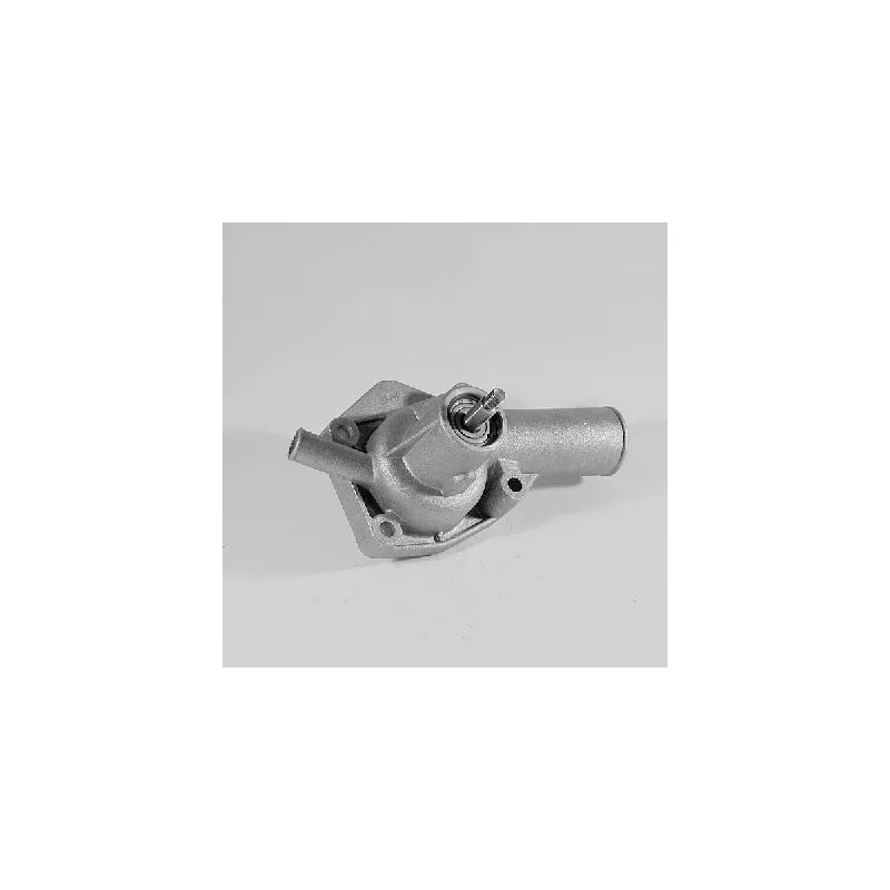Pompe à eau HEPU P649