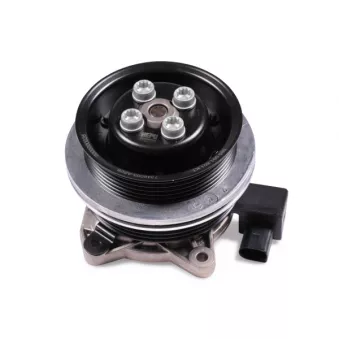 Pompe à eau HEPU P651
