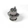 Pompe à eau HEPU P654 - Visuel 1