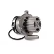 Pompe à eau HEPU P655 - Visuel 1