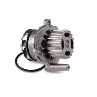 Pompe à eau HEPU P655