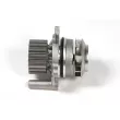 Pompe à eau HEPU P655 - Visuel 2