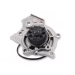 Pompe à eau HEPU P657 - Visuel 1