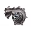 Pompe à eau HEPU P660 - Visuel 2