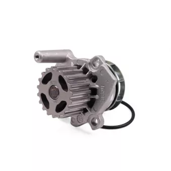 Pompe à eau HEPU P662