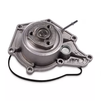 Pompe à eau HEPU P663