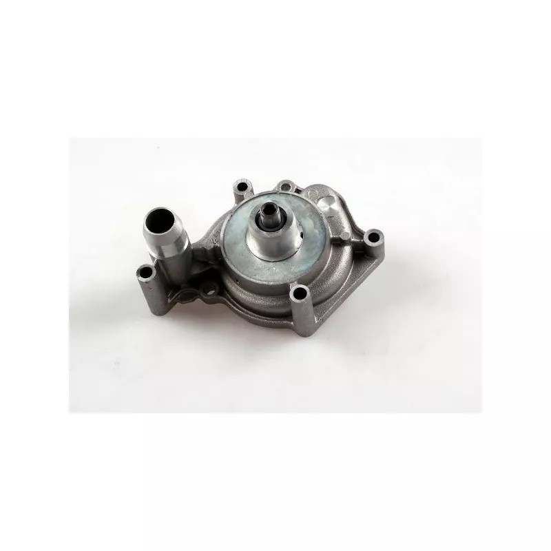 Pompe à eau HEPU P664