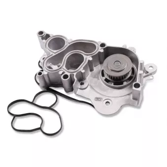 Pompe à eau HEPU P665