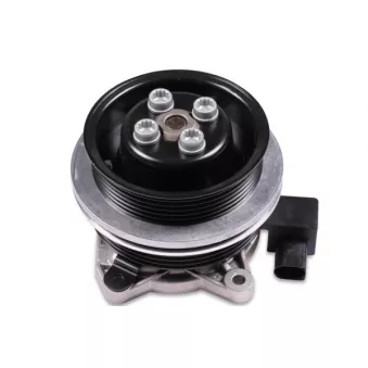 Pompe à eau HEPU P670