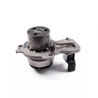 Pompe à eau HEPU P679