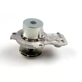Pompe à eau HEPU P679M