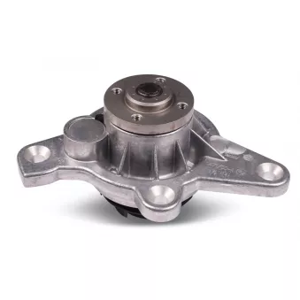 Pompe à eau HEPU P689