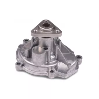 Pompe à eau HEPU P690