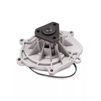 Pompe à eau HEPU P691